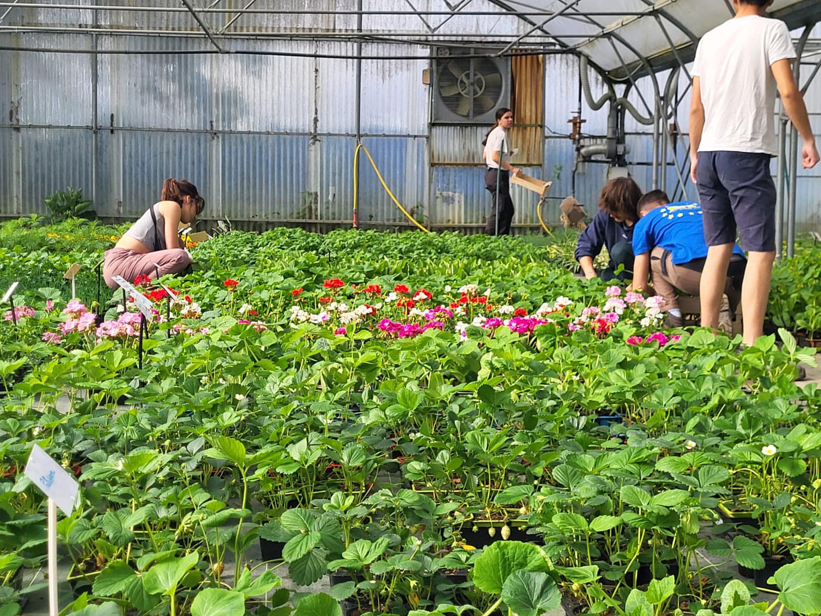 BTSa-Métier du végétal