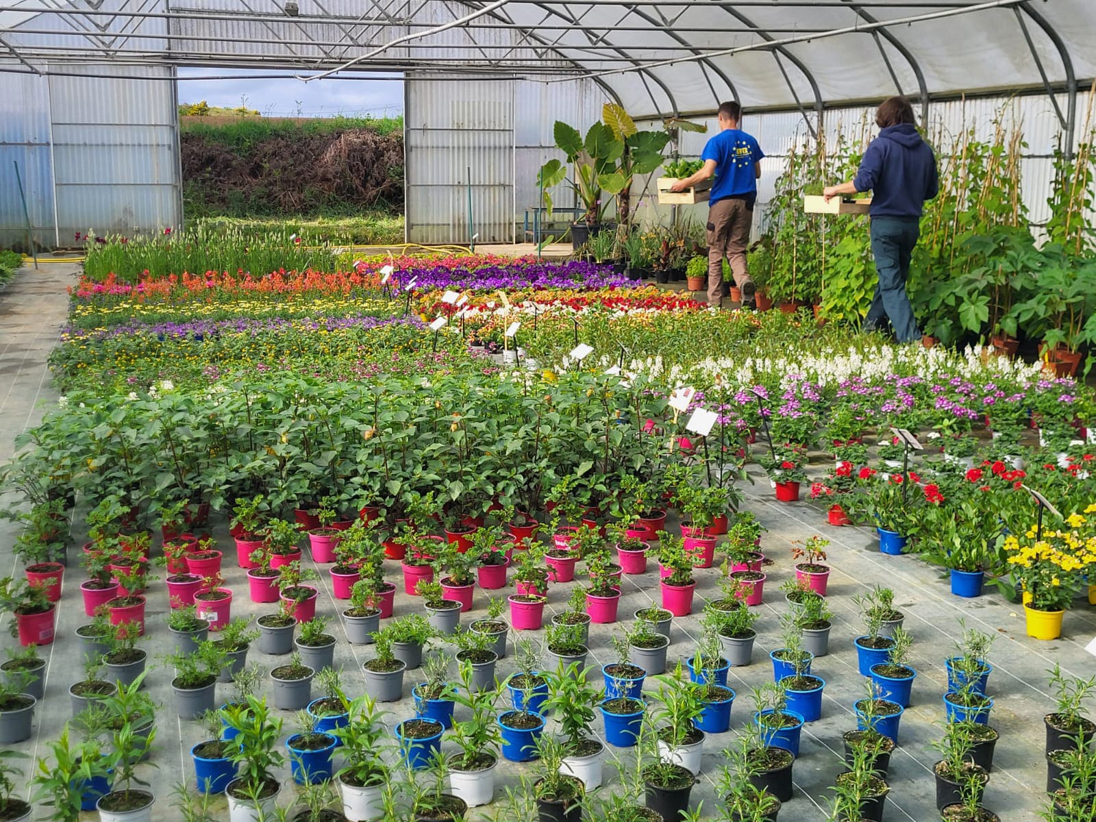 CAPa-MA-Productions-horticoles