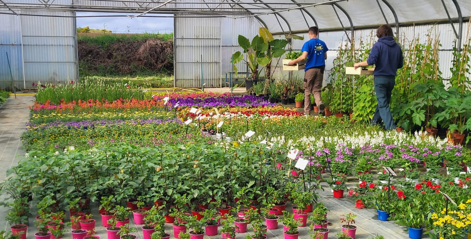 capa-métiers-de-l'agriculture