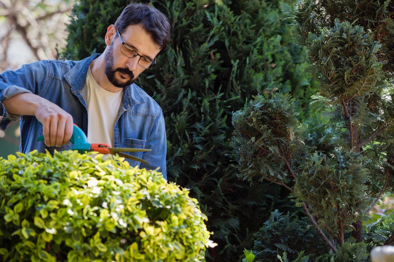 BP-Formation-Continue